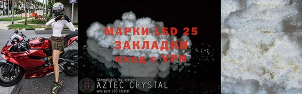 хмурый Абаза