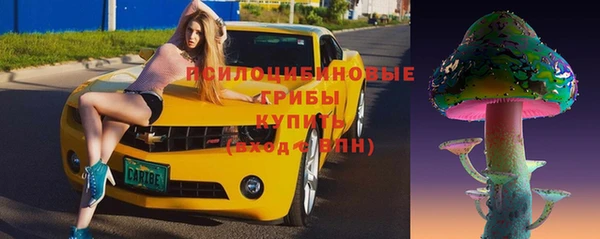 хмурый Абаза