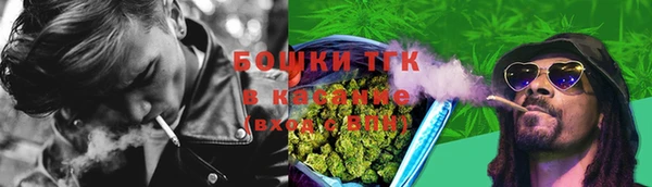 хмурый Абаза