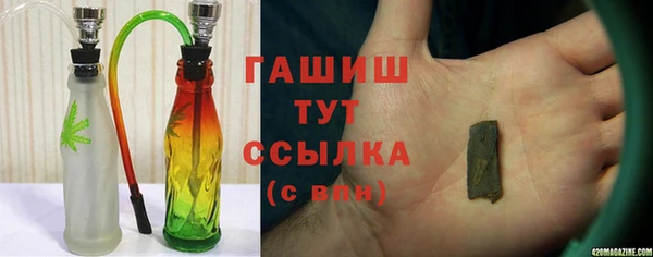 хмурый Абаза