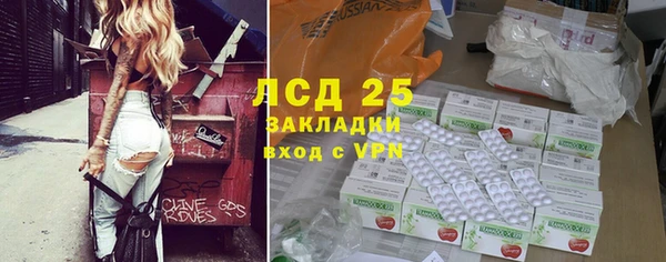 хмурый Абаза