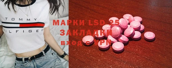 хмурый Абаза
