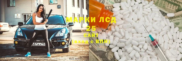 хмурый Абаза