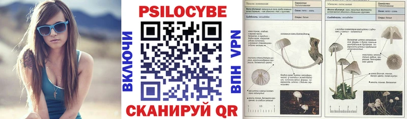 Галлюциногенные грибы прущие грибы  как найти закладки  kraken маркетплейс  Чкаловск 
